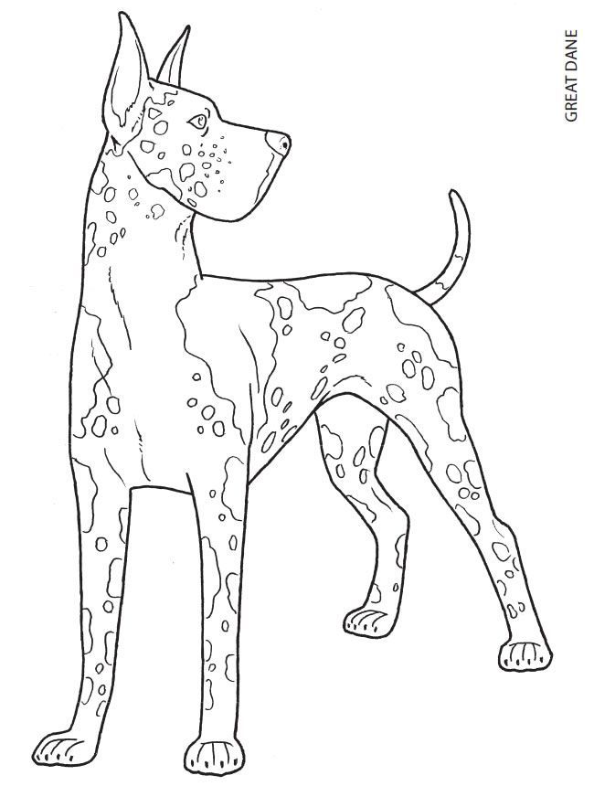 650x860 66 Best Color Cats Amp Dogs Images On Coloring Books
