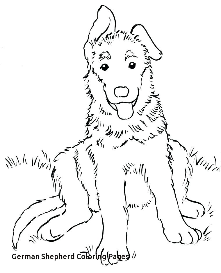 760x941 German Coloring Pages Shepherd Coloring Pages Printable