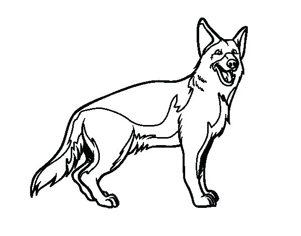 600x470 German Coloring Pages Shepherd Coloring Pages Shepherd Coloring