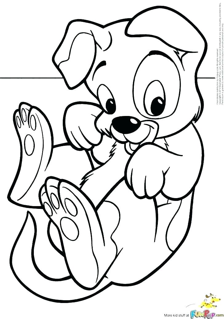 728x1037 Husky Coloring Pages Related Post Lps Husky Coloring Pages