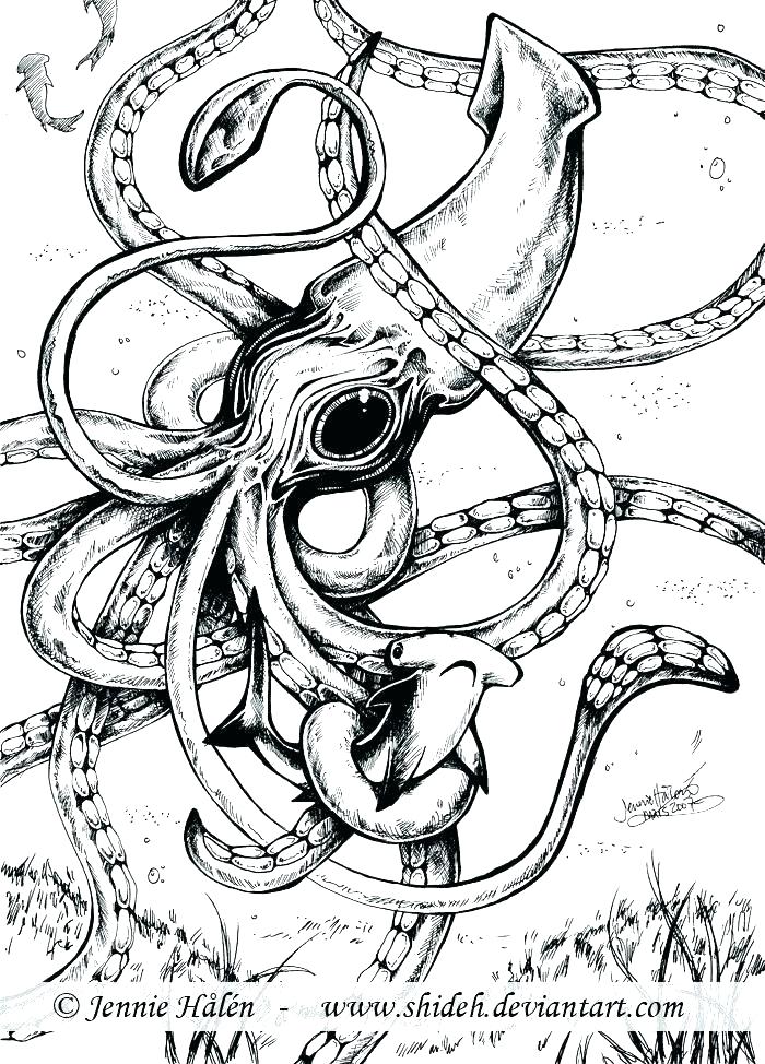700x974 Squid Coloring Page Squid Coloring Page Squid Coloring Page Giant
