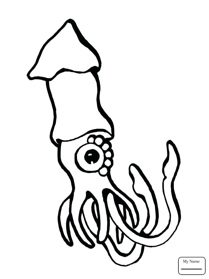 728x971 Squid Coloring Page Squid Coloring Pages Medium Size Of Squid