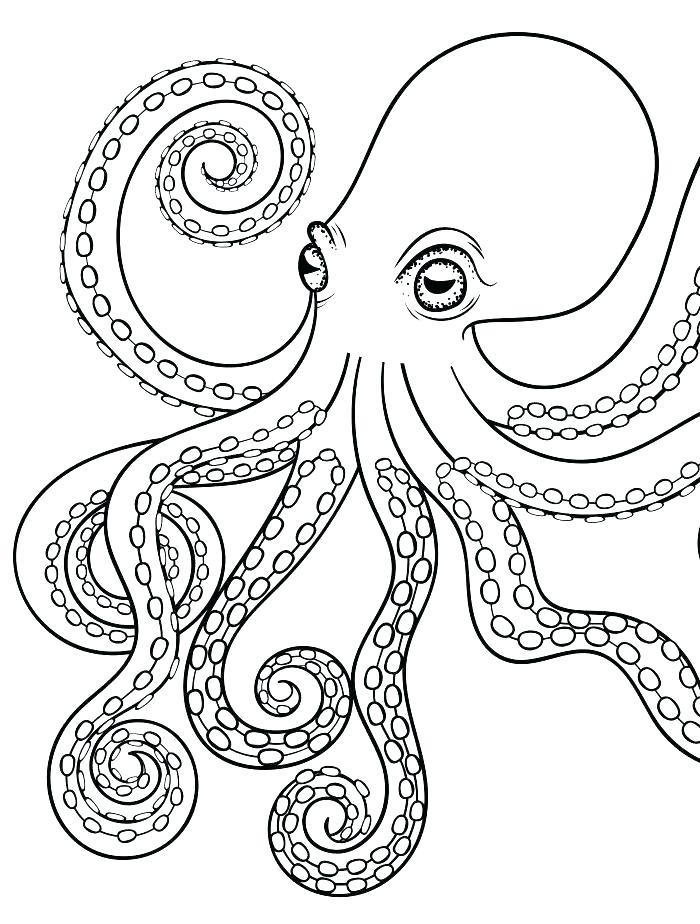 700x924 Squid Coloring Pages Giant Squid Coloring Page Minecraft Squid