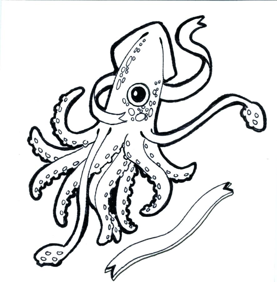 886x902 Coloring Page ~ Squid Coloring Pages Colossal Vampire Squid
