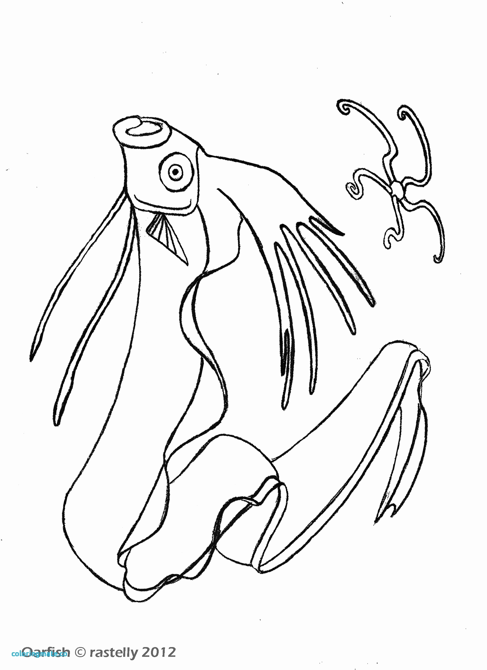 1700x2338 Growth Giant Squid Coloring Page 9 On Pages For Children