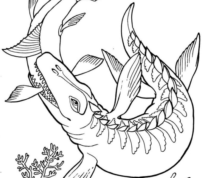 678x600 Dinosaur Coloring Pages Kids Coloring Pages Coloring Pages