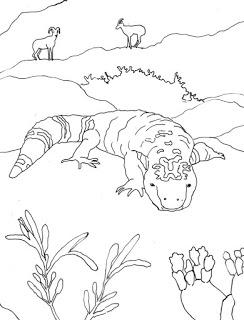 244x320 Gila Monster Coloring Page
