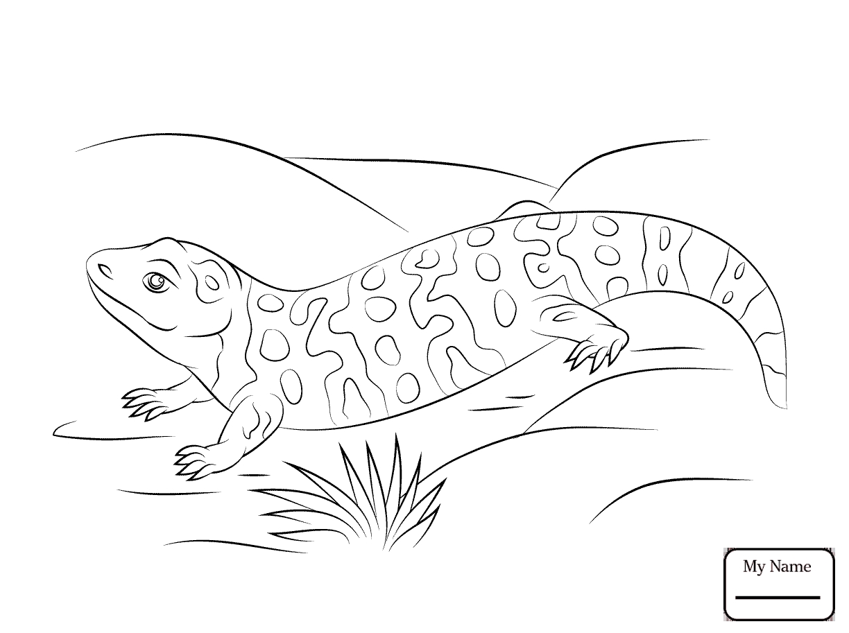 1224x913 Gila Monster Coloring Pages Free Coloring For Kids 2018