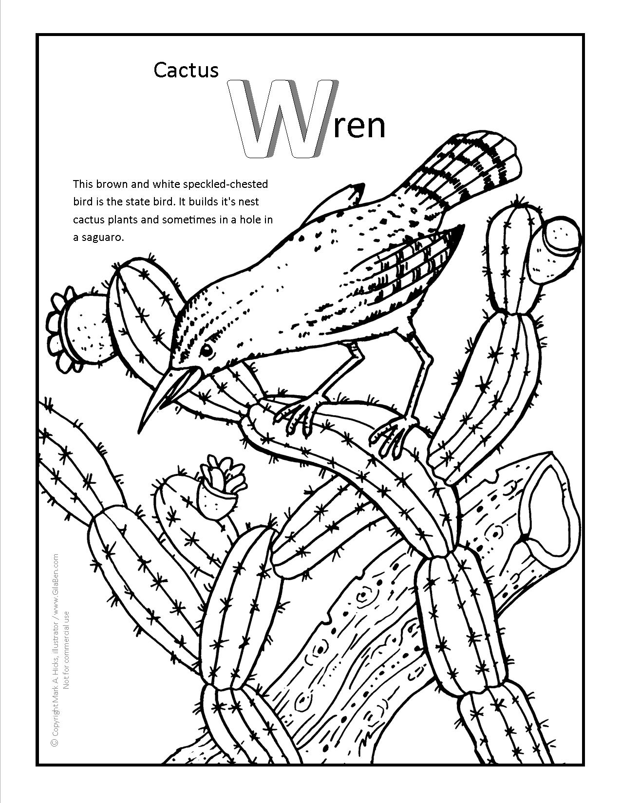 1275x1650 Cactus Wren Coloring Page.jpg