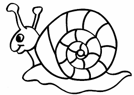 267x189 Resultado De Imagen Para Caracol Sencillos Para Pintar Actividad