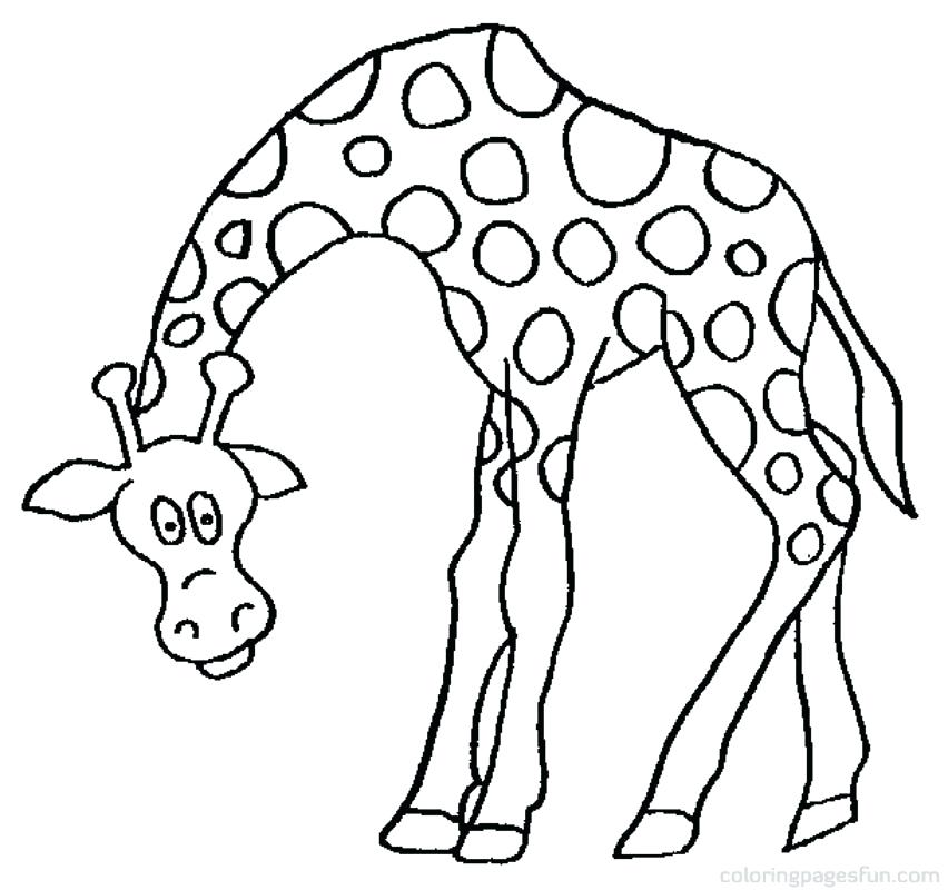 852x800 Giraffes Coloring Pages Giraffe Cartoon Coloring 4 Giraffe