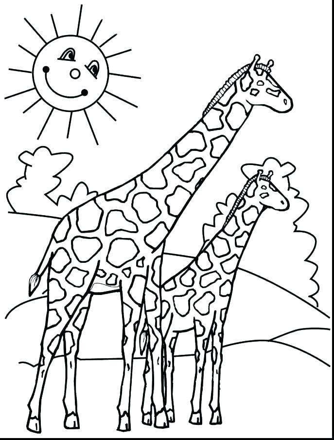 687x904 Kids N Coloring Pages Of Giraffe Giraffe Giraffe Colouring Pages