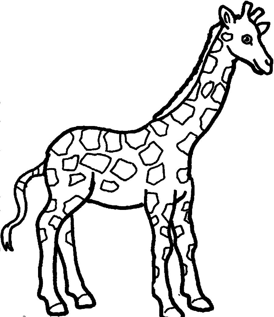 900x1039 Coloring Page Of Giraffe Free Printable Giraffe Coloring Pages