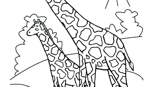 500x280 Giraffe Coloring Pages Giraffe Head Coloring Picture Baby Giraffe