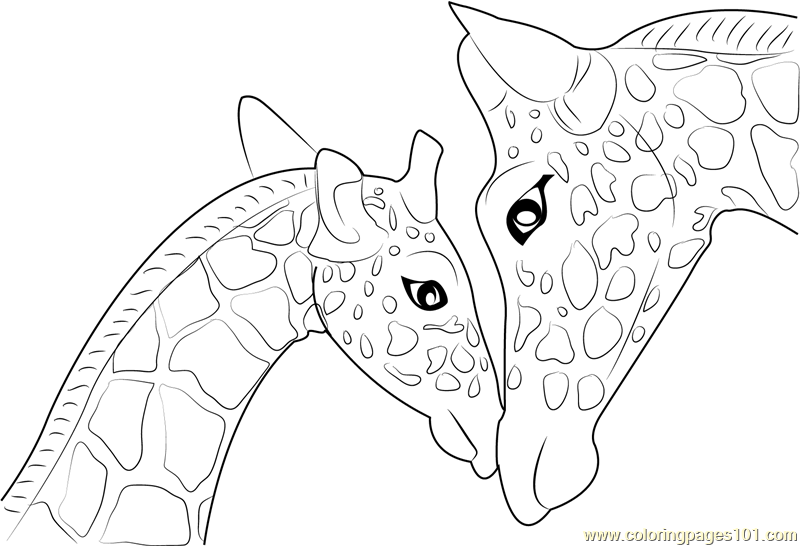 800x546 Mother And Baby Giraffe Coloring Page