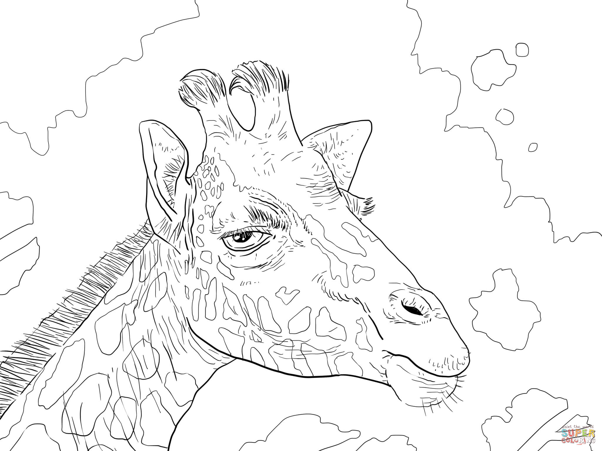 2048x1536 Rothschild Giraffe Head Coloring Page At Giraffe Coloring Pages