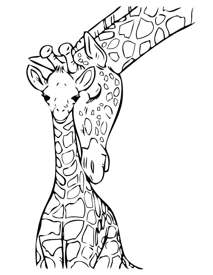 736x952 Giraffe Coloring Pages Printable Giraffe Coloring Page Coloring