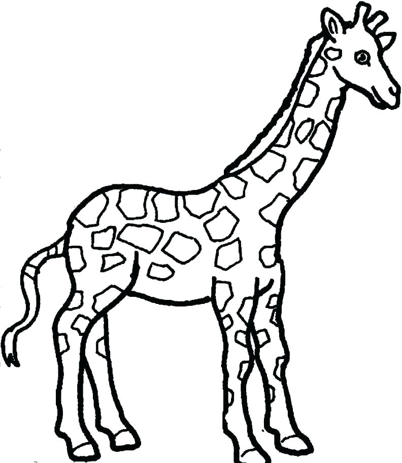792x914 Giraffe Coloring Page Giraffe Coloring Pages To Print Giraffe