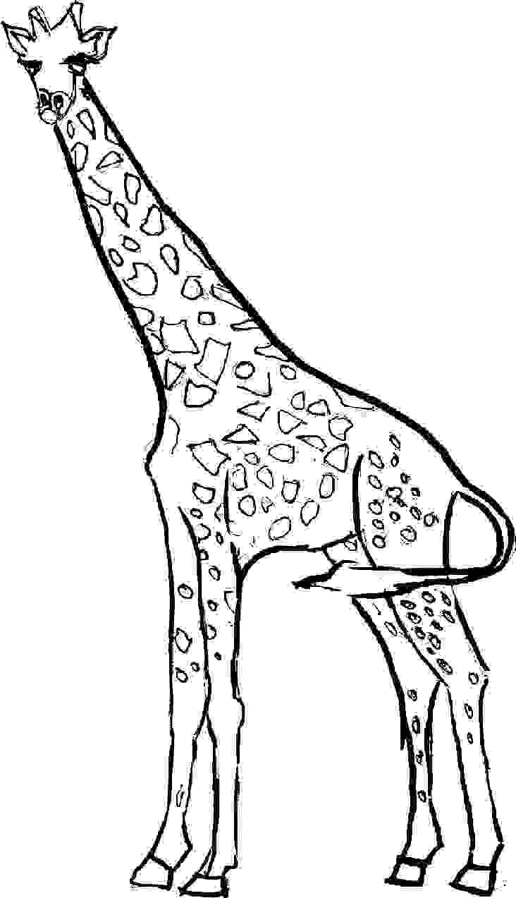 732x1273 Giraffe Coloring Pages