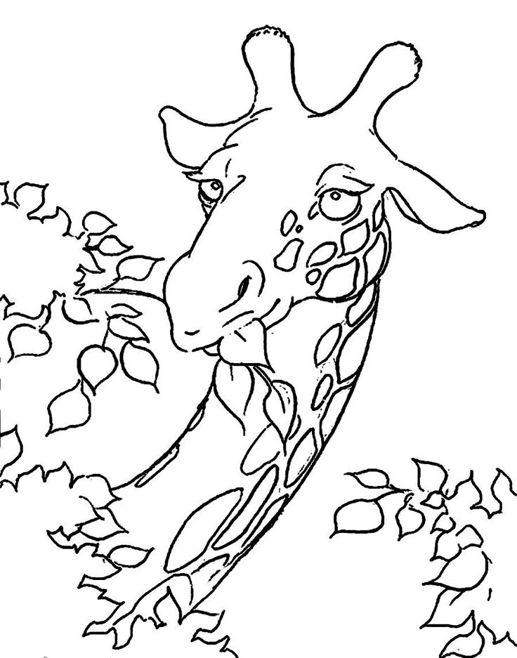 Giraffe Face Coloring Pages