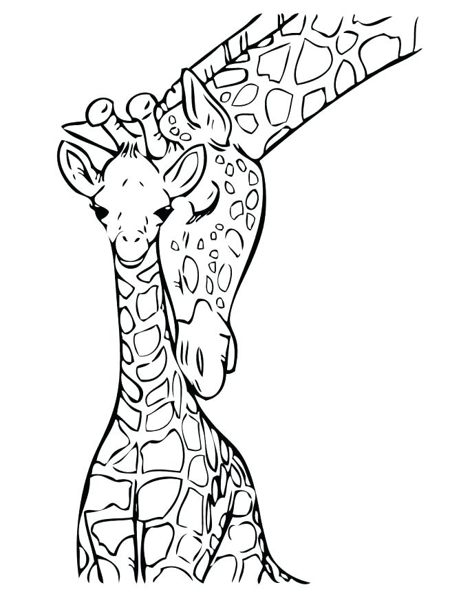 670x867 Cool Giraffe Color Page Cute Cartoon Giraffe Ng Pages Of Giraffes