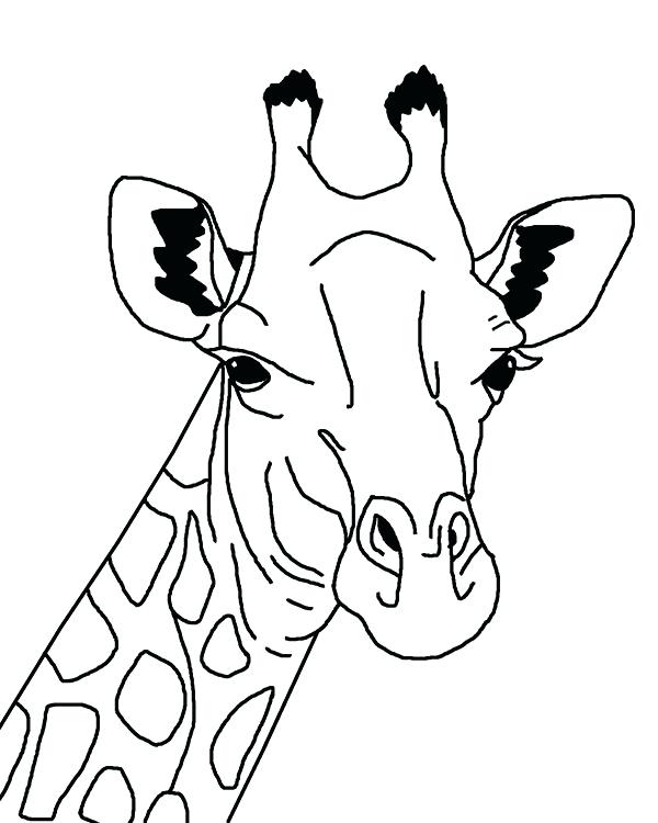 600x750 Giraffe Coloring Sheet Giraffe Head Coloring Page