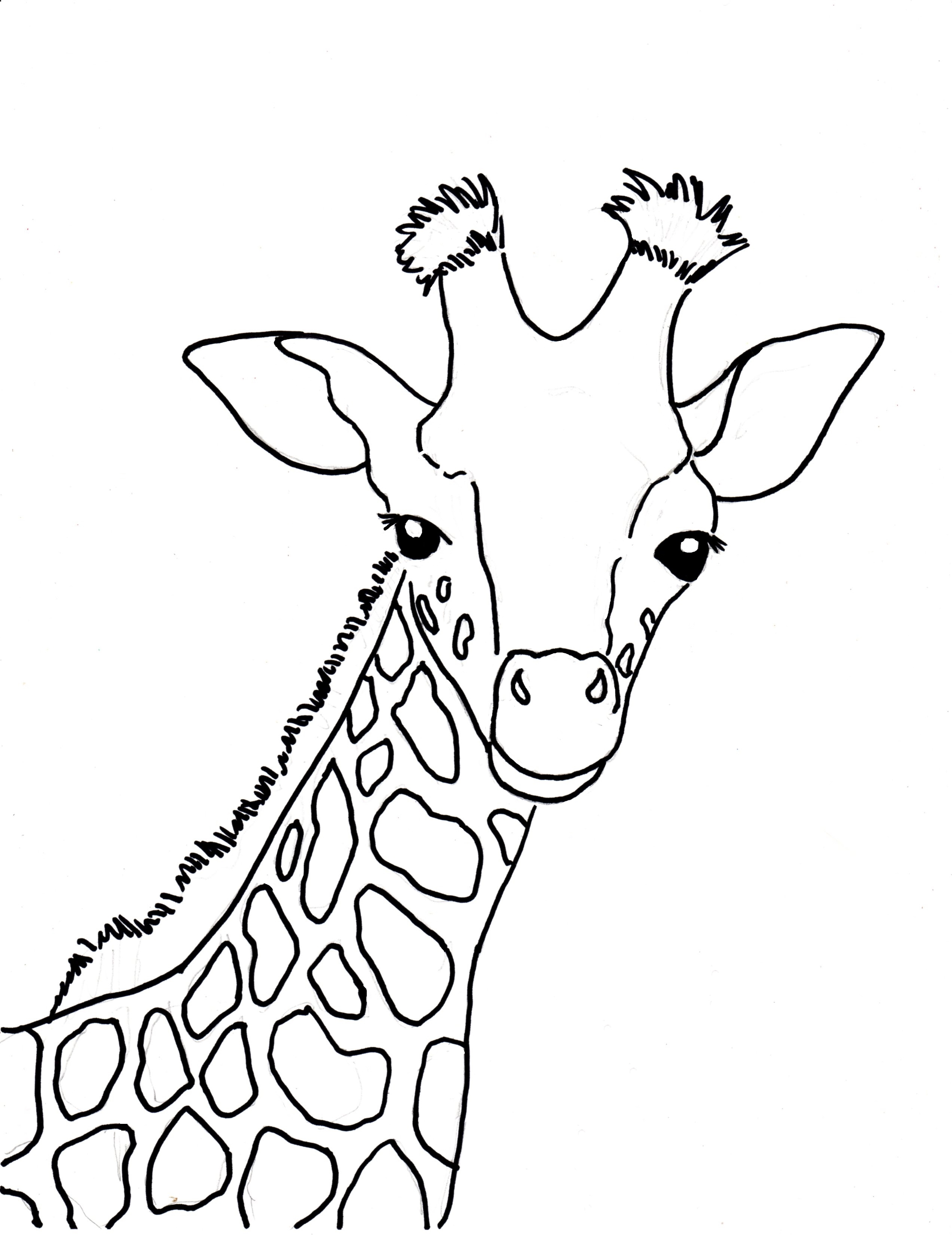 2545x3300 Giraffe Head Coloring Pages Printable Coloring For Kids 2018