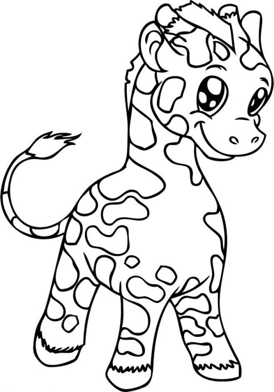 536x768 Baby Giraffe Coloring Pages