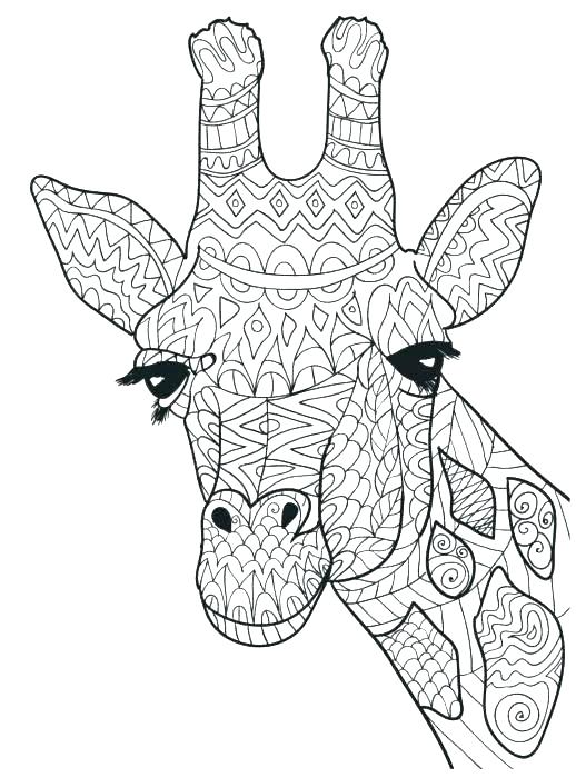 518x700 Baby Giraffe Coloring Pages As Baby Giraffe Coloring Page Baby