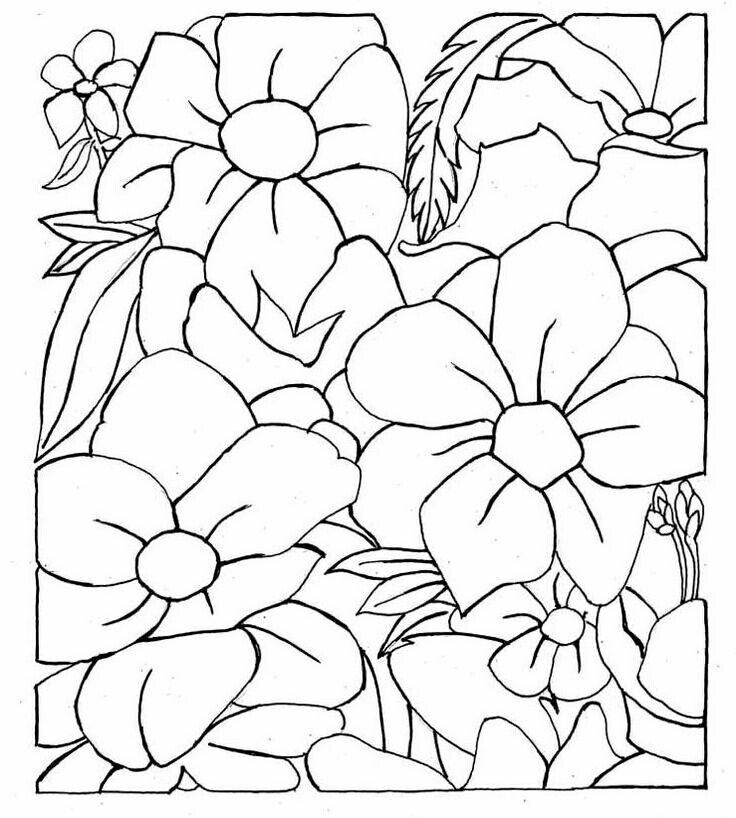 736x818 43 Best Printable Coloring Pages Images On Printable