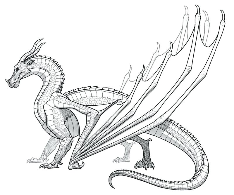 800x668 Dragon Coloring Pages Adventure Of Hiccup Andothless In How