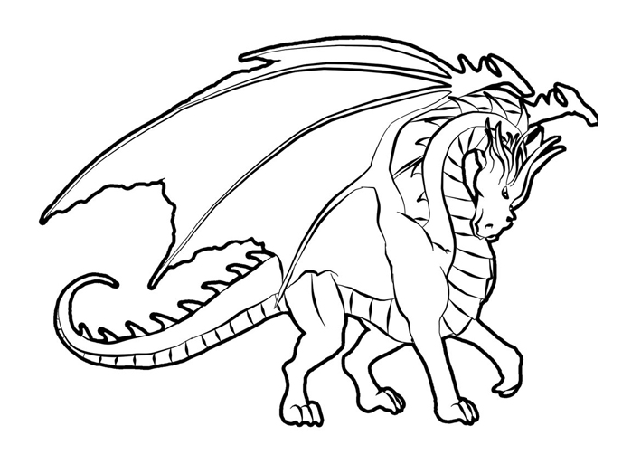 709x513 Gorgeous Dragon Coloring Page Pages Coloringsuite Com