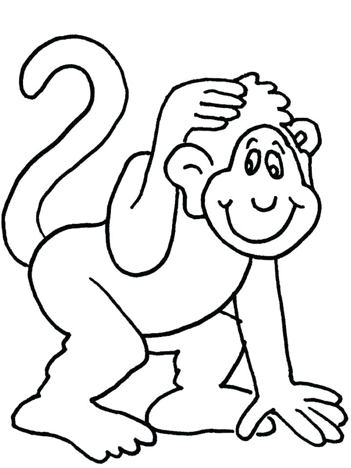 718x957 Monkey Color Page