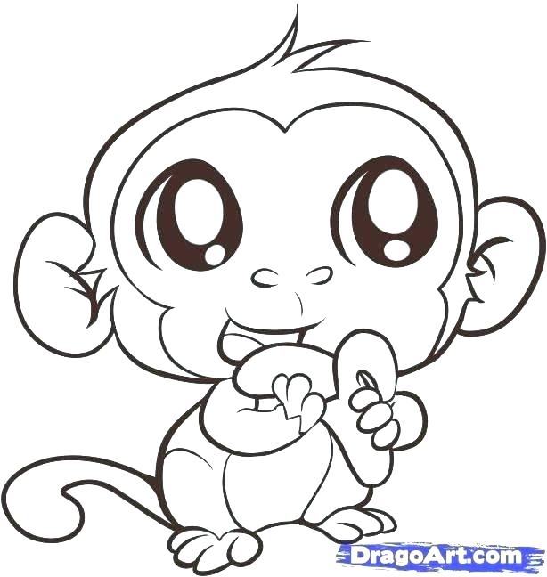 614x648 Baby Monkey Coloring Pages Monkey Coloring Pictures Baby Monkey