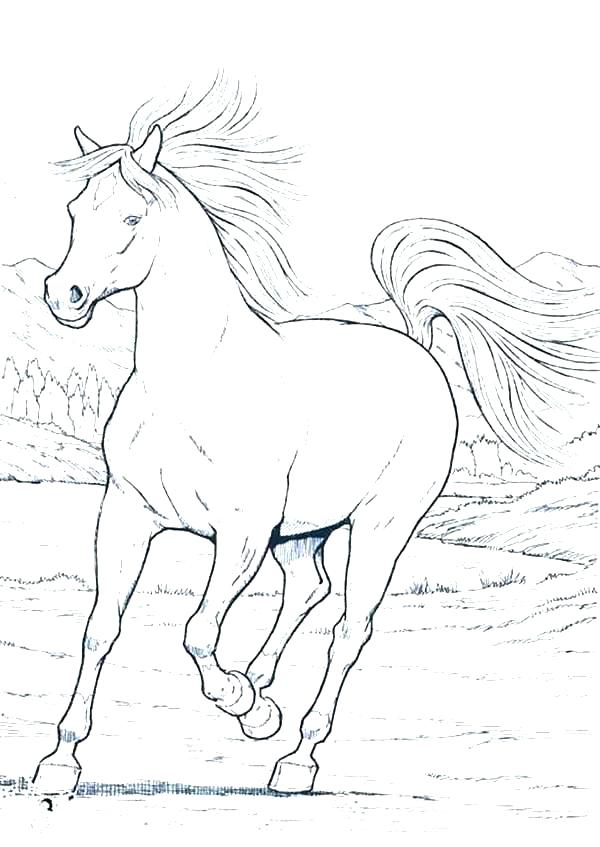 600x847 Carousel Horse Coloring Pages Carousel Horse Coloring Pages