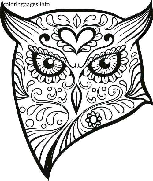 500x592 Sugar Skull Coloring Pages Skull And Crossbones Coloring Pages