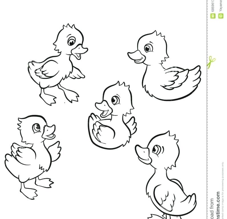 795x768 Girl Swimming Coloring Pages Swimming With Coloring Pages Swimming