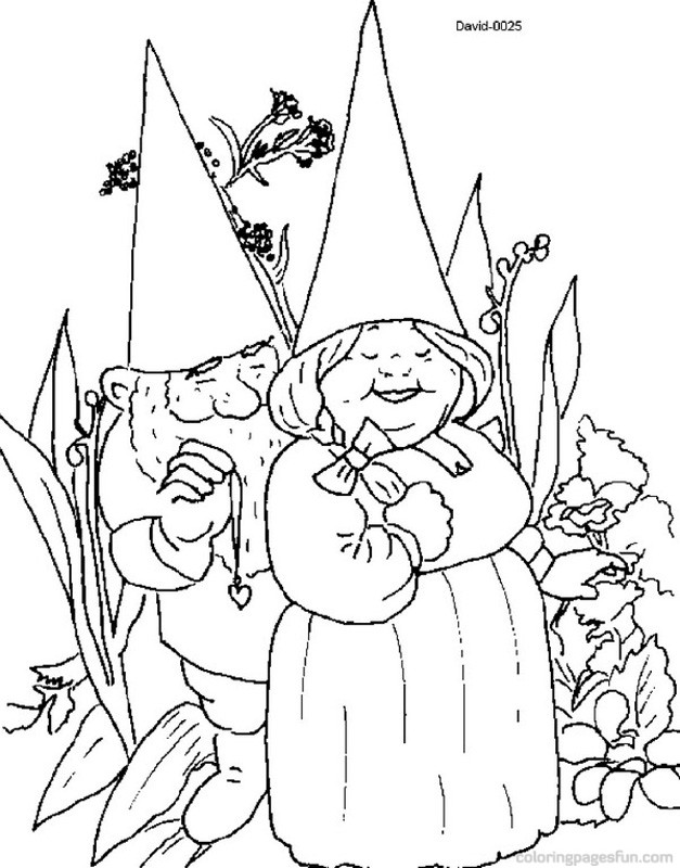 627x800 David, The Gnome