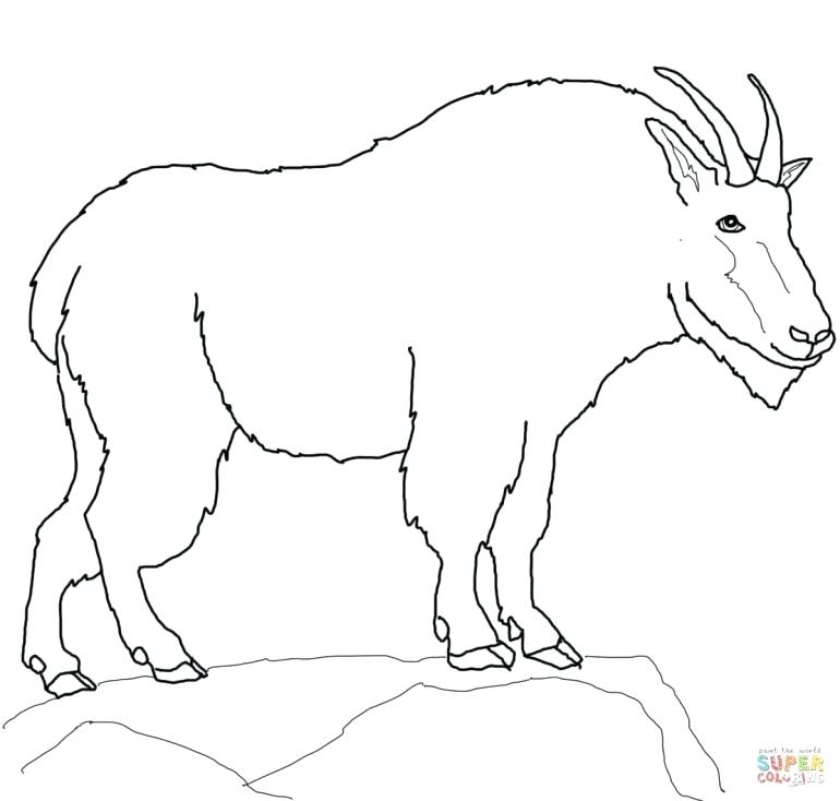 770x734 Goat Coloring Baby Goat Colouring Pages Coloring Wild Mammals