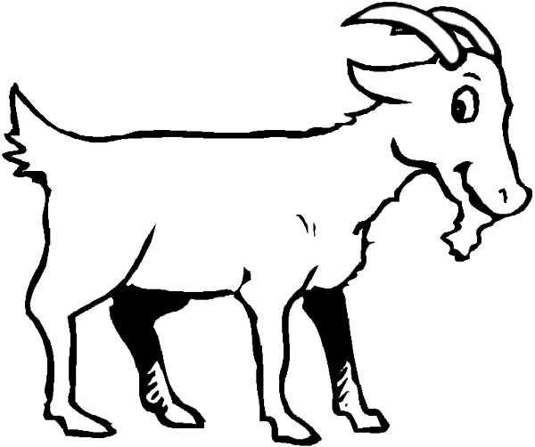 600x502 Goat Is Smiling Coloring Pages Color Luna