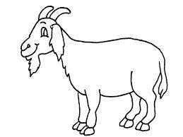 259x194 Mejores 19 De Goat Coloring Pages En Animales