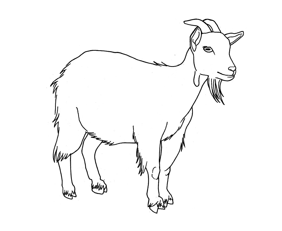 1136x929 Free Printable Goat Coloring Pages For Kids