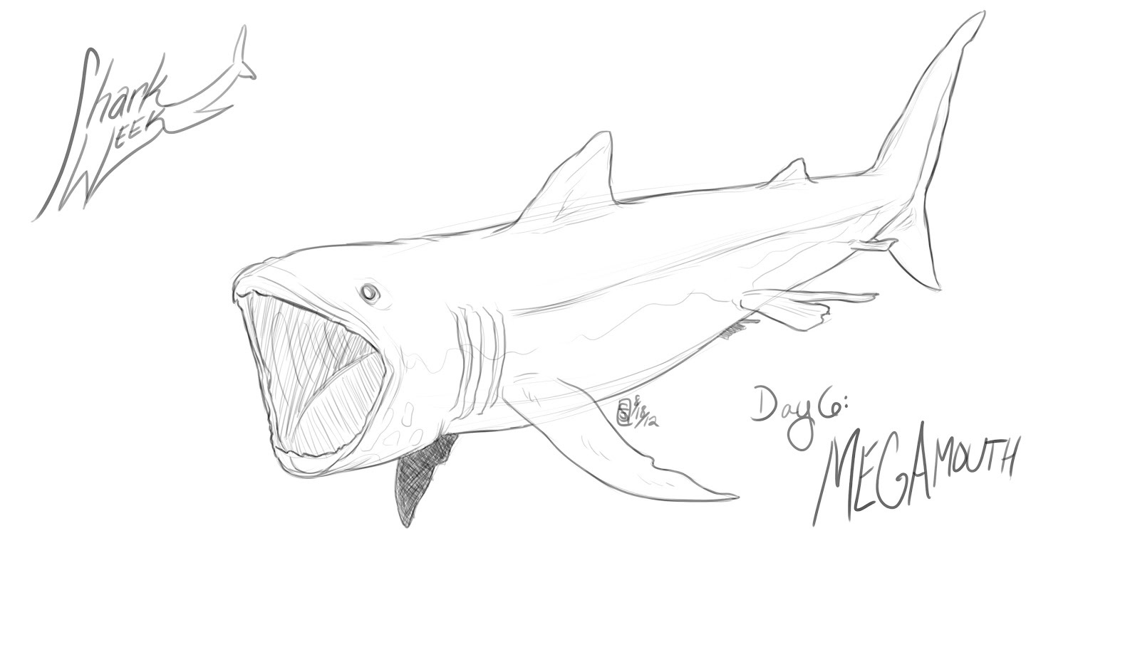 1600x933 Megamouth Shark Coloring Page 1080p