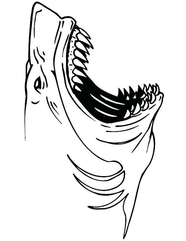 600x776 Shark Pictures To Color And Print Shark Tales Coloring Pages Shark