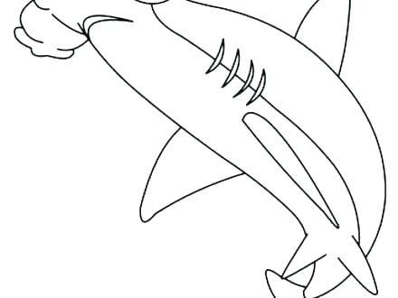 440x330 Sharks Coloring Pages Hammerhead Shark Coloring Page Shark