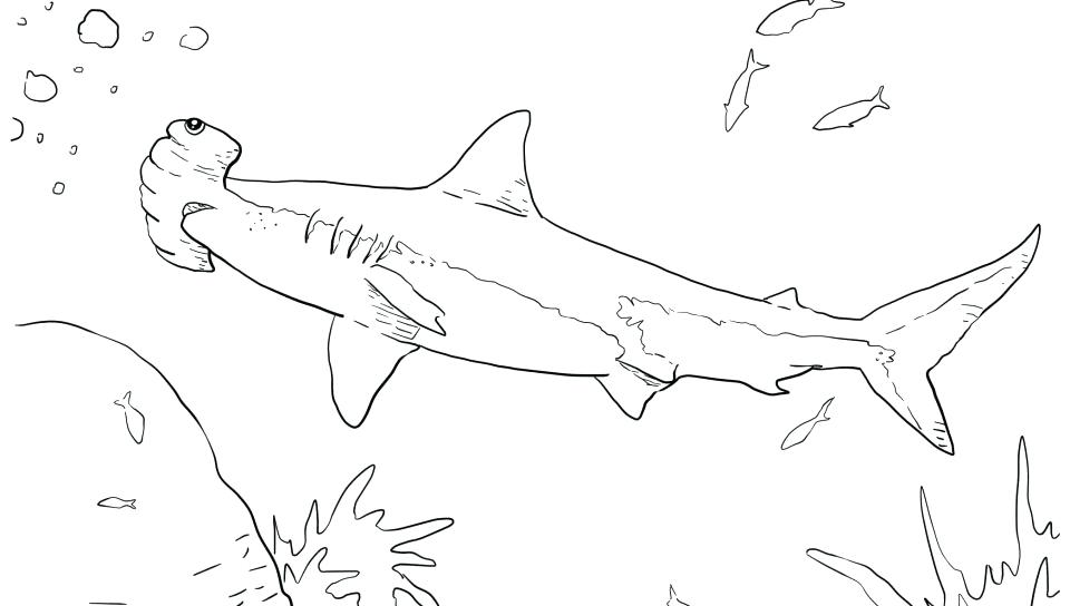 960x544 Coloring Pages Of Sharks Goblin Shark Coloring Pages Shocking