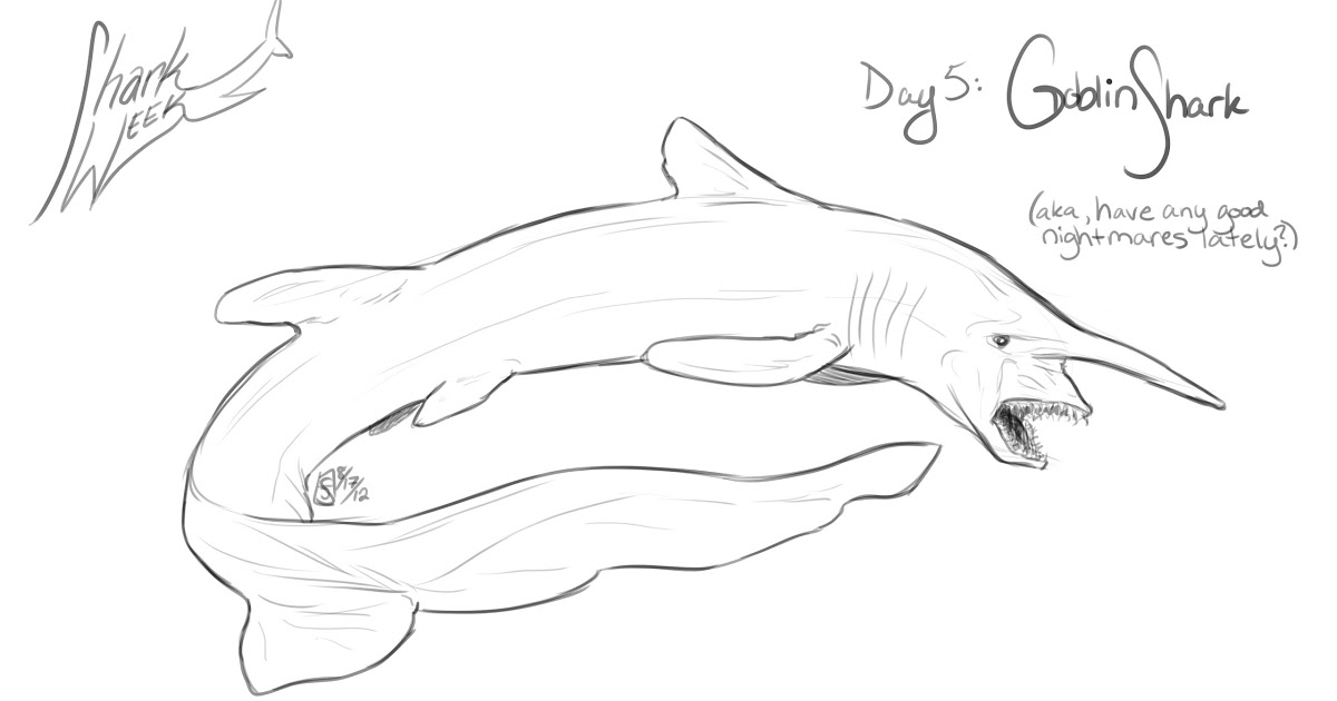 1200x630 Goblin Shark Coloring Pages For Kids