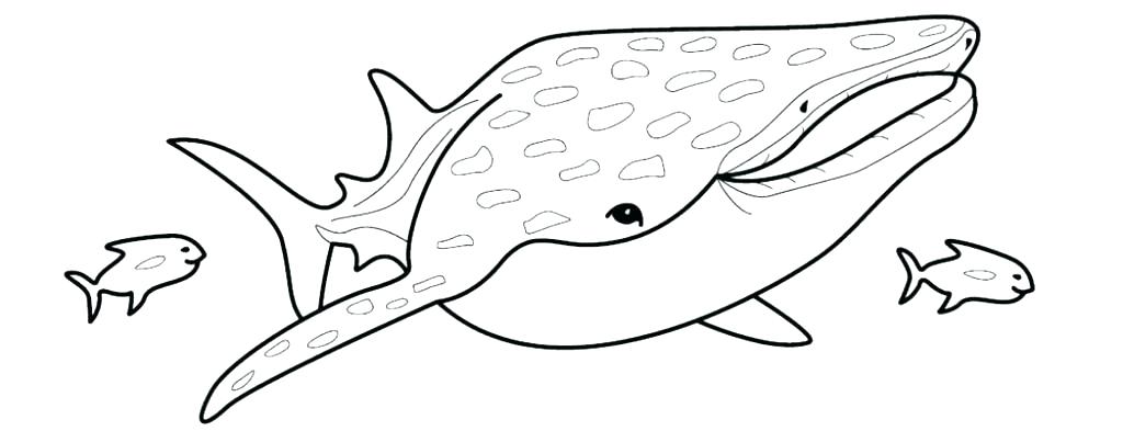 1024x393 Goblin Shark Coloring Pages Website Picture Gallery Gr On Angel