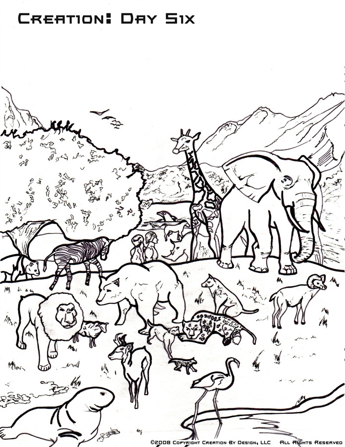 695x900 Coloring Page God Created Animals Pages Creation Go Digital