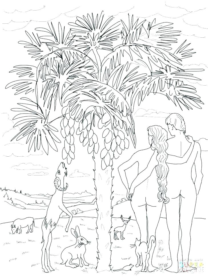 728x971 Creation Story Coloring Pages Coloring Page Revisited Story